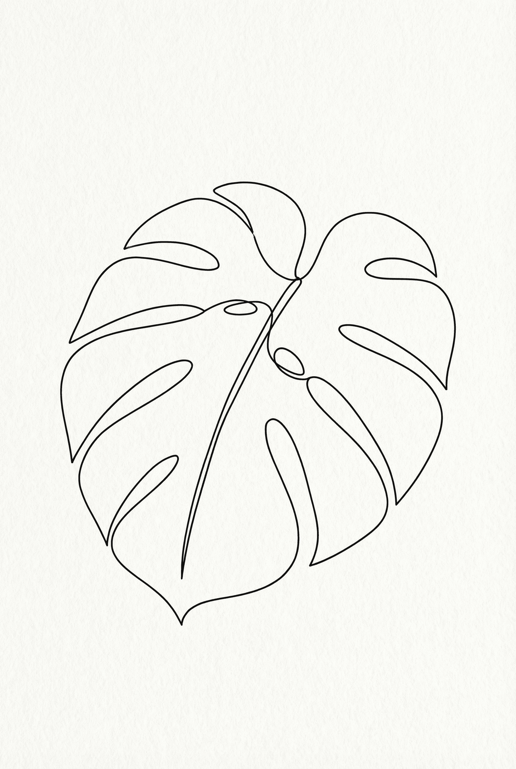 Line Art Style AI image: A fine line drawing of a Monstera leaf, minimalist style, single thickness black strokes on white ba